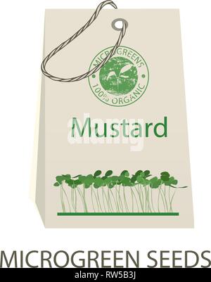 La progettazione di packaging per semi di senape. I germogli di greggio, microgreens, mangiare sano concetto. Illustrazione Vettoriale Illustrazione Vettoriale