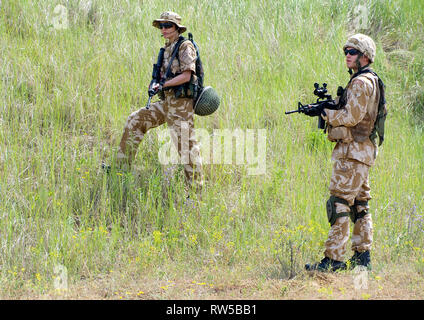 Soldati britannici nel deserto uniforme in azione. Foto Stock