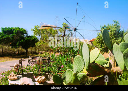 Vecchio mulino a vento vintage e un cactus di Sissi a Creta in Grecia Foto Stock