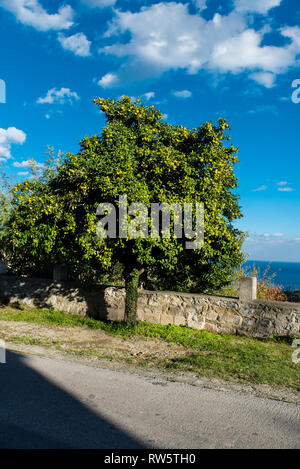 Vicolo tradizionale in Kymi all isola di Eubea, Grecia Foto Stock