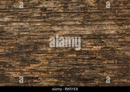 Il legno vecchio Texture Detail sul banco di legno. Foto Stock