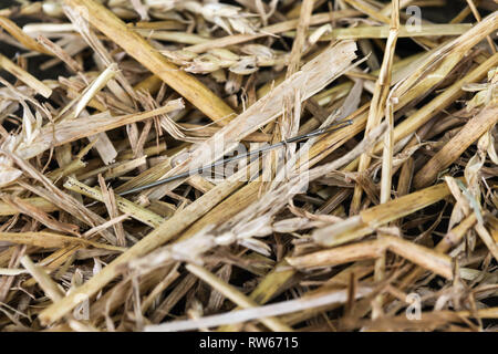 Ago nel pagliaio 1 Foto Stock