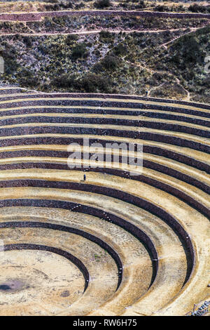 Terrazze circolari di Moray eventualmente un Inca laboratorio agricolo, in estate con secco e vegetazione di colore giallo Foto Stock