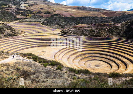 Terrazze circolari di Moray eventualmente un Inca laboratorio agricolo, in estate con secco e vegetazione di colore giallo Foto Stock