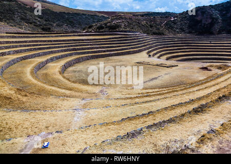 Terrazze circolari di Moray eventualmente un Inca laboratorio agricolo, in estate con secco e vegetazione di colore giallo Foto Stock