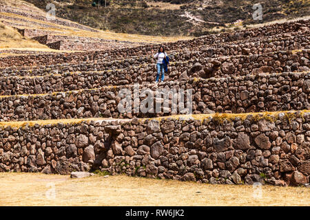 Terrazze circolari di Moray eventualmente un Inca laboratorio agricolo, in estate con secco e vegetazione di colore giallo Foto Stock