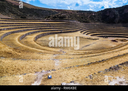 Terrazze circolari di Moray eventualmente un Inca laboratorio agricolo, in estate con secco e vegetazione di colore giallo Foto Stock