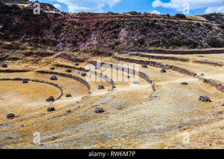 Terrazze circolari di Moray eventualmente un Inca laboratorio agricolo, in estate con secco e vegetazione di colore giallo Foto Stock