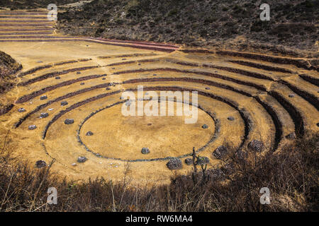 Terrazze circolari di Moray eventualmente un Inca laboratorio agricolo, in estate con secco e vegetazione di colore giallo Foto Stock