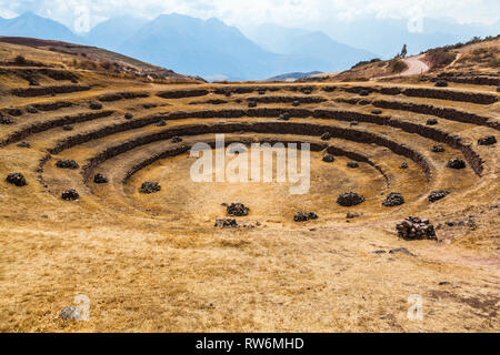 Terrazze circolari di Moray eventualmente un Inca laboratorio agricolo, in estate con secco e vegetazione di colore giallo Foto Stock