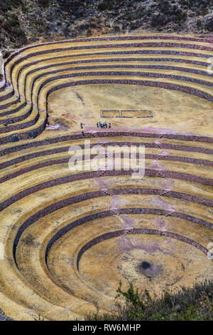 Terrazze circolari di Moray eventualmente un Inca laboratorio agricolo, in estate con secco e vegetazione di colore giallo Foto Stock