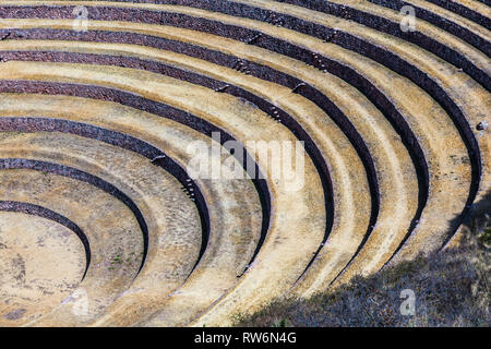 Terrazze circolari di Moray eventualmente un Inca laboratorio agricolo, in estate con secco e vegetazione di colore giallo Foto Stock