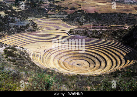 Terrazze circolari di Moray eventualmente un Inca laboratorio agricolo, in estate con secco e vegetazione di colore giallo Foto Stock