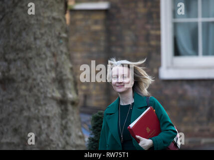 Londra, Regno Unito. 5 Mar, 2019.Primo Segretario per l'TreasuryThe Rt Hon Elizabeth Truss MP arriva settimanale per la riunione di gabinetto al 10 di Downing Street a Londra. Credito: Keith Larby/Alamy Live News Foto Stock