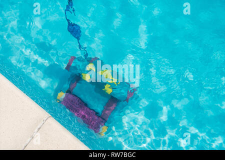 Robot di pulizia per la pulizia del fondo della piscina. Manutenzione concetto del pool Foto Stock