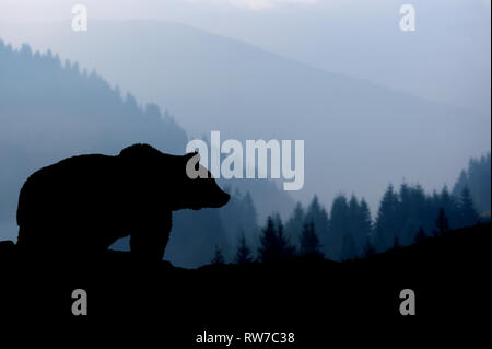 Deserto paesaggio con silhouette di recare sulle montagne sullo sfondo Foto Stock