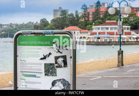 Manly penguin cartello segnaletico, viaggi avventura Australia Sydney Foto Stock