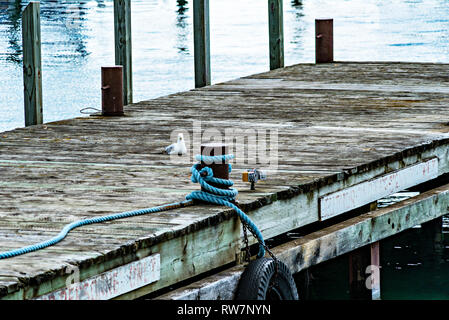 Dock, Gull & Corda Foto Stock