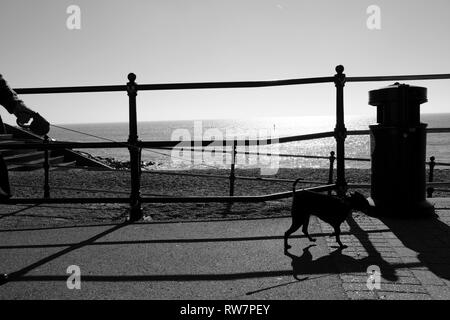 Passeggiate con il cane lungo Ventnor lungomare in silhouette, Ventnor, Isle of Wight, Inghilterra, Regno Unito, Gran Bretagna. Foto Stock