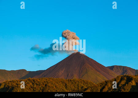 Volcan El Reventador in eruzione, tra le province di Napo e Sucumbios Foto Stock