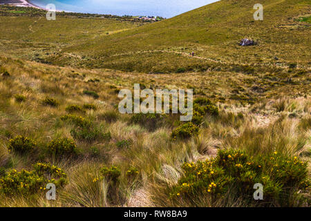 Paesaggio andino, lagune di Mojanda e loro paramos Foto Stock