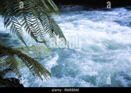 Che scorre veloce blu brillante fiume scorre in background di Fern Tree, NZ. Foto Stock