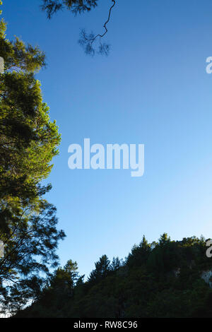 Sole sorge alle spalle di silhouette di alberi di alto fusto su cliff edge. Foto Stock