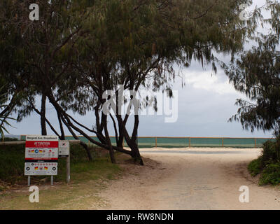 Sentiero di accesso alla spiaggia sabbiosa presso Margaret Avenue, Broadbeach, Gold Coast, Australia, incorniciato da alberi costieri e segnaletica di sicurezza Foto Stock