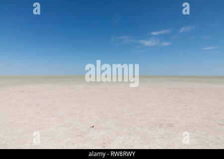 Etosha Pan, il Parco Nazionale di Etosha, Namibia Foto Stock