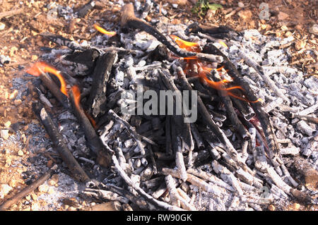 Close-up di braci di un falò realizzato con la legna da ardere da campo per cuocere la carne alla brace Foto Stock