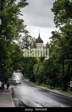 Strada bagnata nel centro di Tallinn con lussureggiante vegetazione verde intorno e la Cattedrale Alexander Nevsky cupole della distanza in fresco di giornata piovosa. Foto Stock