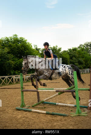 Super slow motion di una donna jockey salta sopra gli ostacoli su un cavallo. Foto Stock