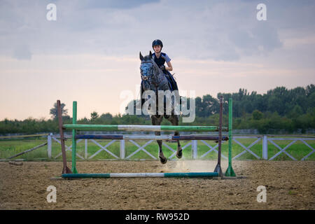 Super slow motion di una donna jockey salta sopra gli ostacoli su un cavallo. Foto Stock