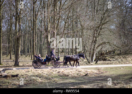 Carrozza a cavalli in Dyrehaven in Copenhagen Foto Stock