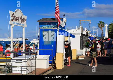 Piccola barca Porto, Lahaina, Isola di Maui, Hawaii, STATI UNITI D'AMERICA Foto Stock