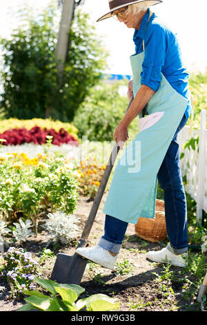 Senior donna lavora in giardino Foto Stock