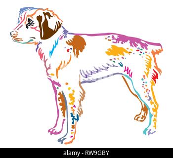 Contorno colorato decorativo di ritratto in piedi di profilo cane Brittany, vettore illustrazione isolato su sfondo bianco Illustrazione Vettoriale