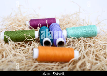 Multicolor filo per cucire sulla rafi erba. Isolato su uno sfondo bianco. Foto Stock