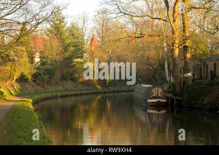 La Bridgewater Canal vicino a Lymm Cheshire Foto Stock