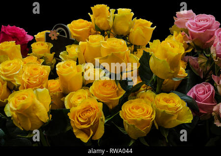 Le gemme nascoste di grandi bellissime rose giallo tra le altre belle rosebuds rosa su sfondo nero Foto Stock