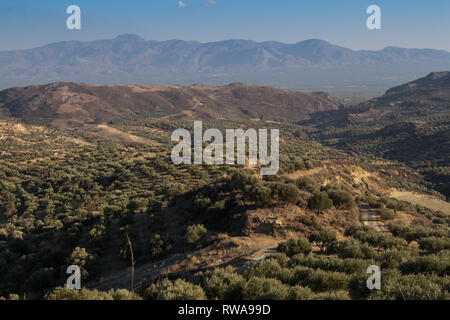 Valle della centrale di Creta, con i suoi alberi di olivo e di campi, circondata da alte montagne. In autunno l'umore. Il cielo blu con nuvole bianche. Foto Stock