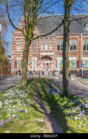 Crochi davanti all'ex museo di Groningen edificio Foto Stock