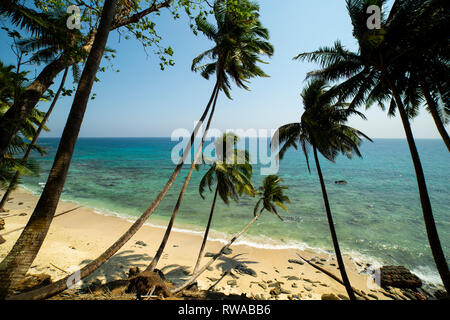 Una spiaggia pittoresca sull isola di Ross, ufficialmente conosciuta come Netaji Subhas Chandra Bose isola. Foto Stock