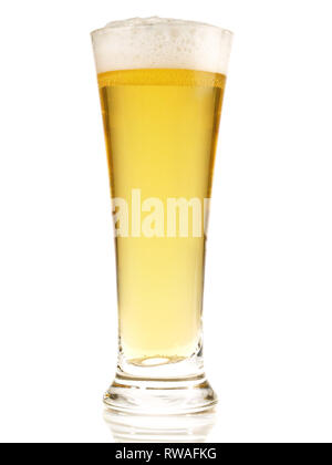 Birra Pils su sfondo bianco Foto Stock