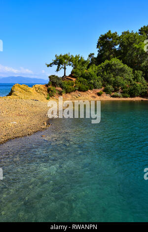 Bagno turco barche da pesca in una bellissima baia circondata da alberi di pino Mediterranei, caicco crociera in barca, il Mare Mediterraneo, Turchia Foto Stock