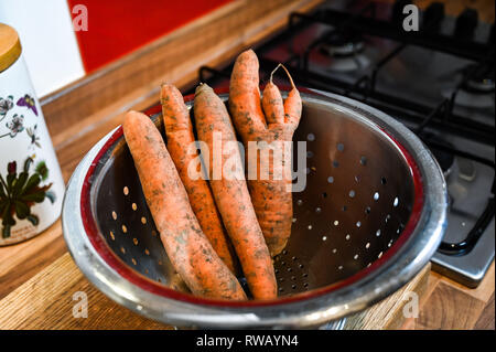 Fresca carote in alcuni inusuali forme con la terra ed il fango viene lavato nel lavello da cucina in uno scolapasta Foto Stock