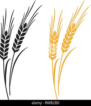 Spighe di grano, orzo segala o vettore. Illustrazione Vettoriale