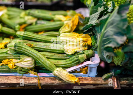 Zucchine fiori in una cassa in un italiano di mercato degli agricoltori Foto Stock