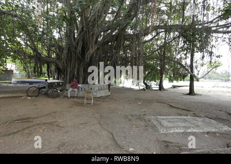 Una meta esclusiva da non perdere, Mahebourg è un villaggio sulla costa sud-orientale di Mauritius. Il paese è ricco di storia e cultura, Foto Stock