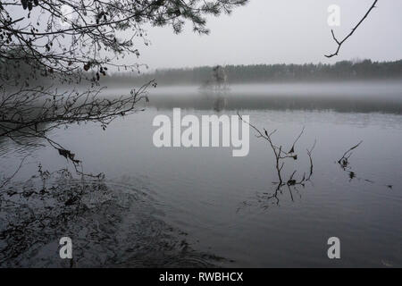 Seeaufnahmen bei Alzenau Foto Stock